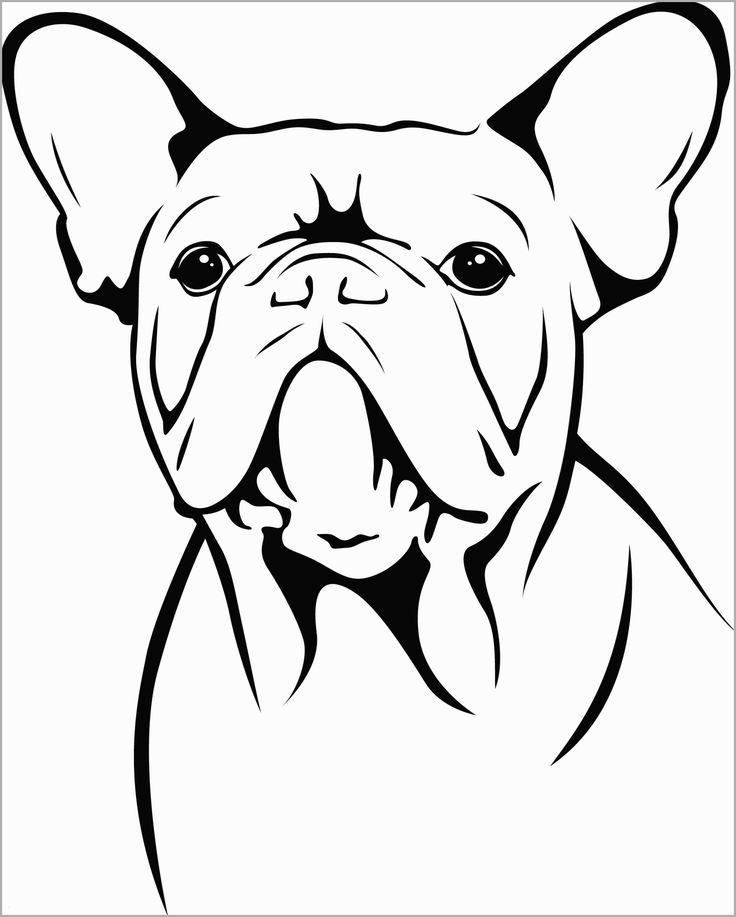 French bulldog coloring pages