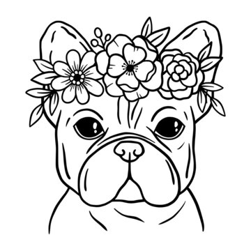 French bulldog outline images â browse photos vectors and video