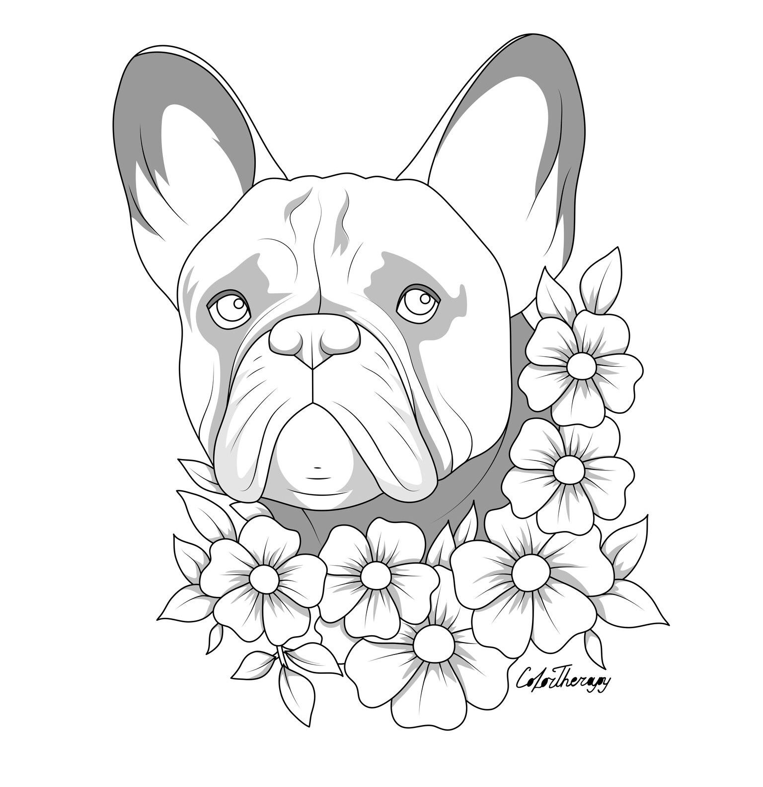 The sneakpeek for the next ðgift of the dayð tomorrow do you like this one french bulldog floralâ ausmalbilder hunde ausmalbilder franzãsische bulldogge