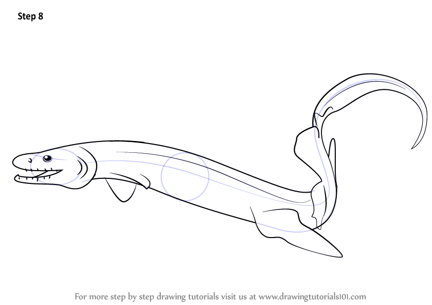 How to draw a frilled shark fishes step by step