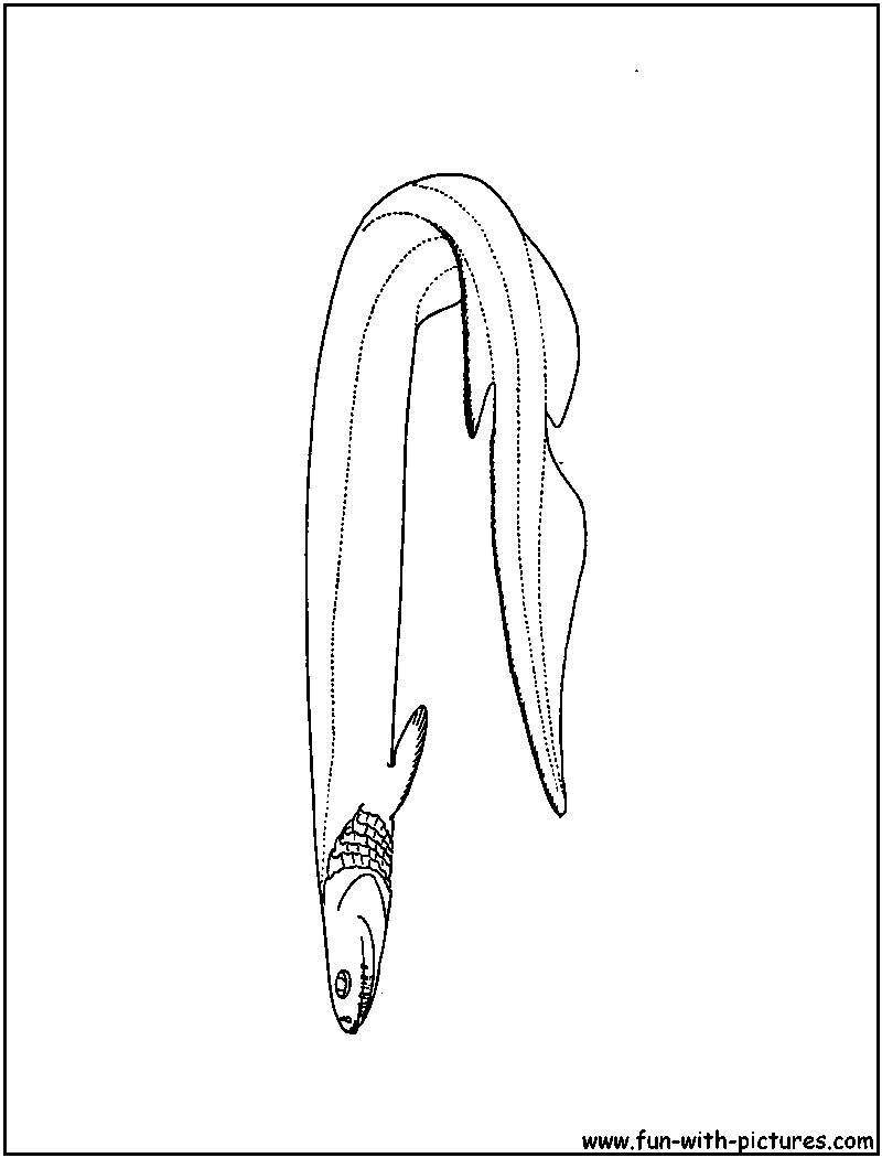 Frilled shark coloring page