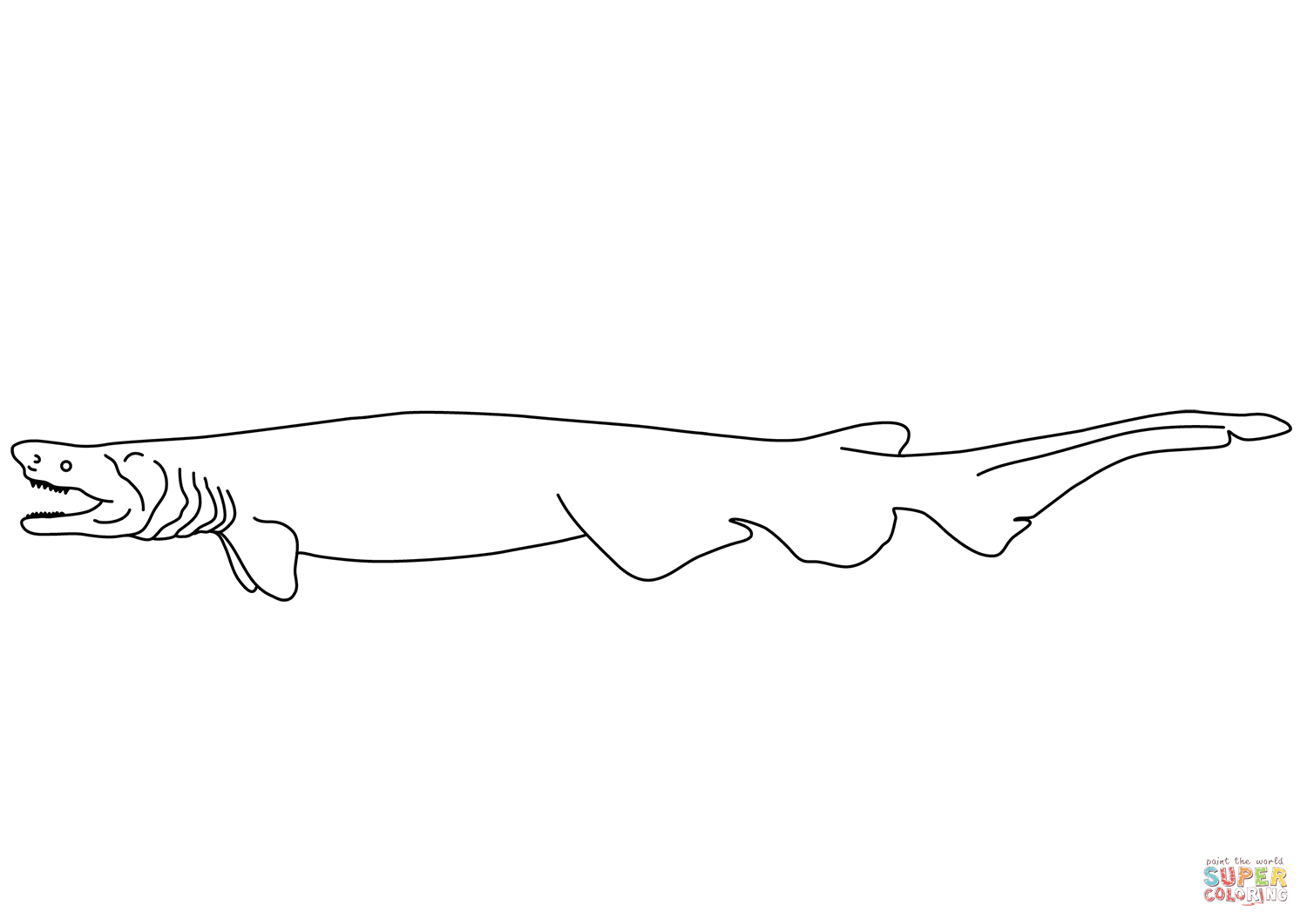 Southern african frilled shark chlamydoselachus africana coloring page free printable coloring pages