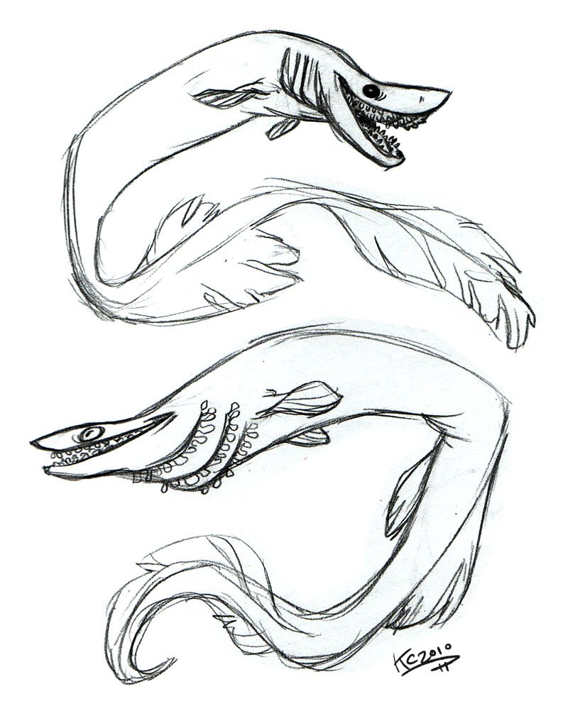 Frilled shark by polarkeet on deviantart shark art frilled shark creature artwork