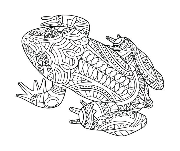 Hand drawn frog for coloring book for adult stock illustration