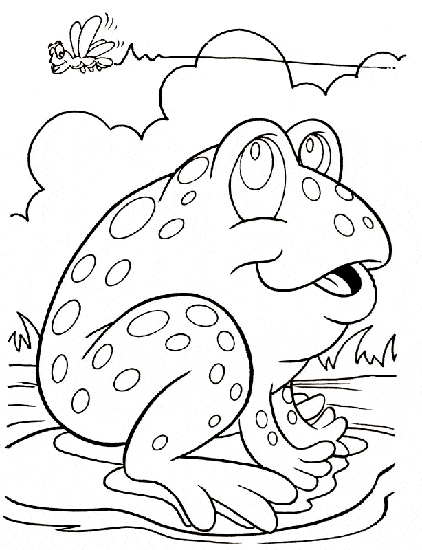 Frog coloring page