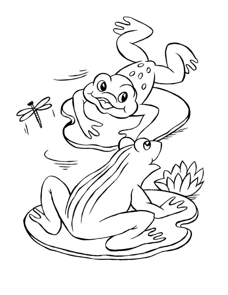 Frog coloring pages