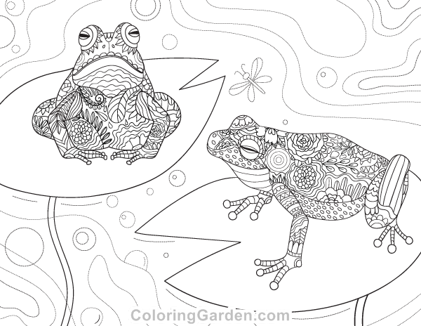 Frog adult coloring page