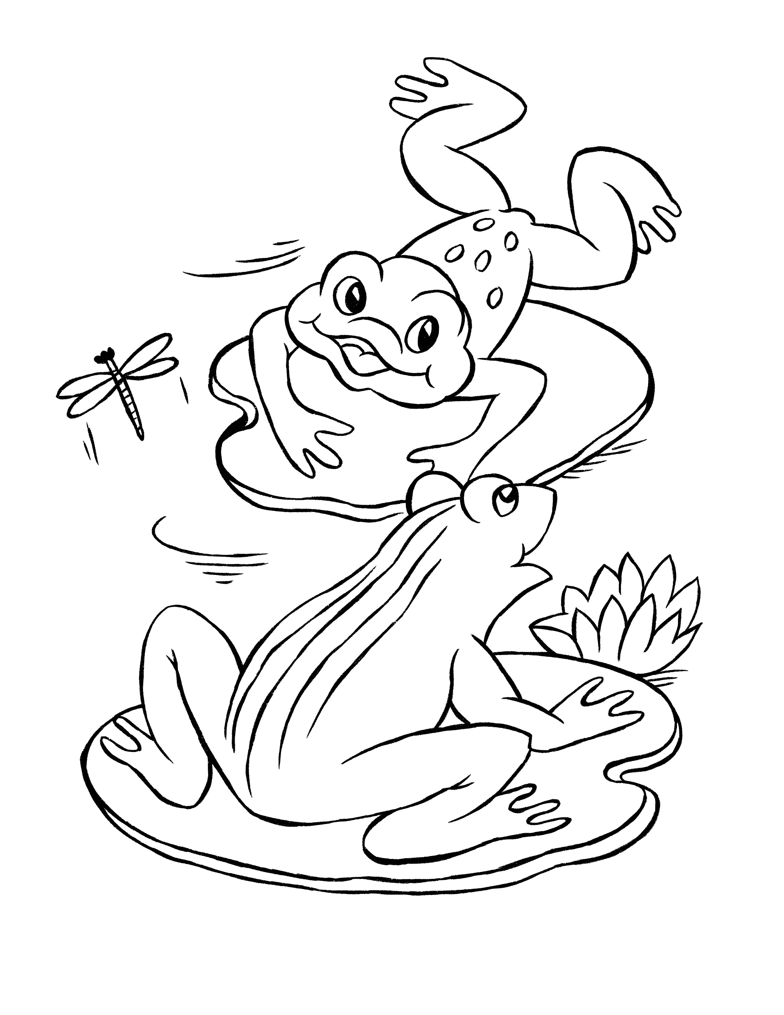 Frog coloring pages