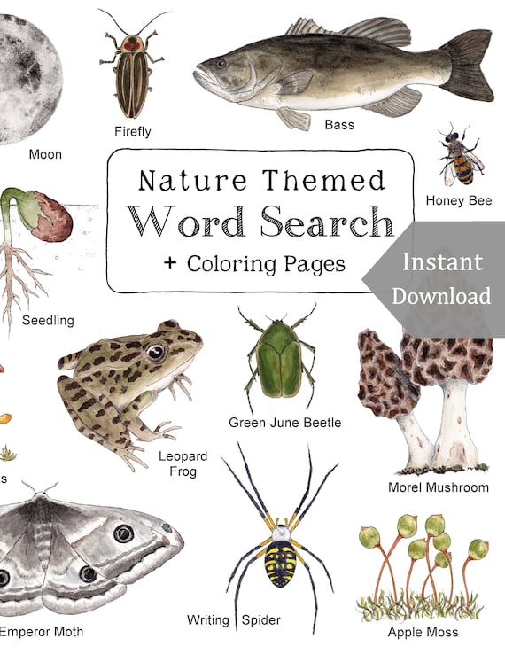 Digital pdf version nature themed word search coloring pages x size file