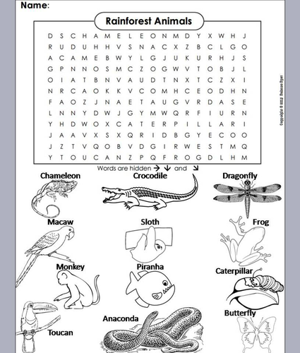 Rainforest word search coloring book teaching resources