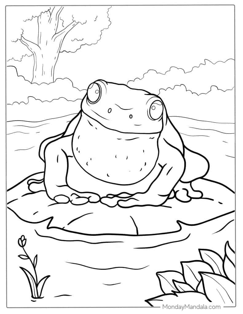 Frog coloring pages free pdf printables