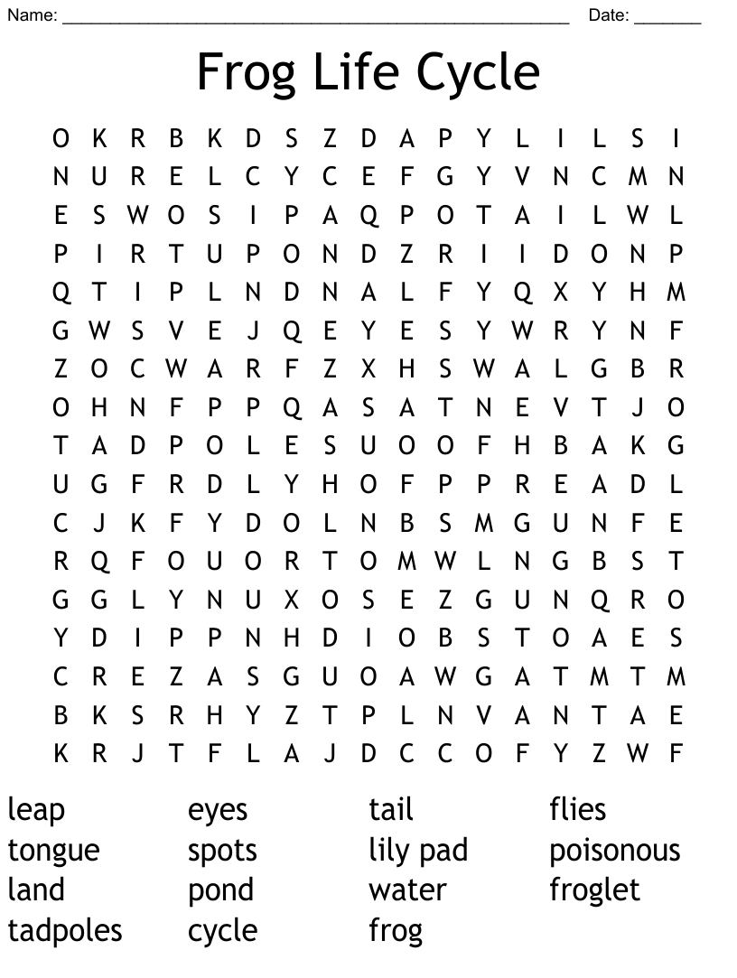 Frog life cycle word search