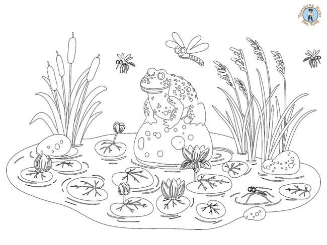 Frog in the pond coloring page