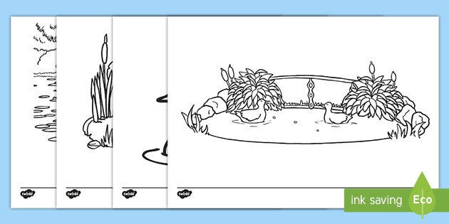 Pond louring pages art primary educational resources