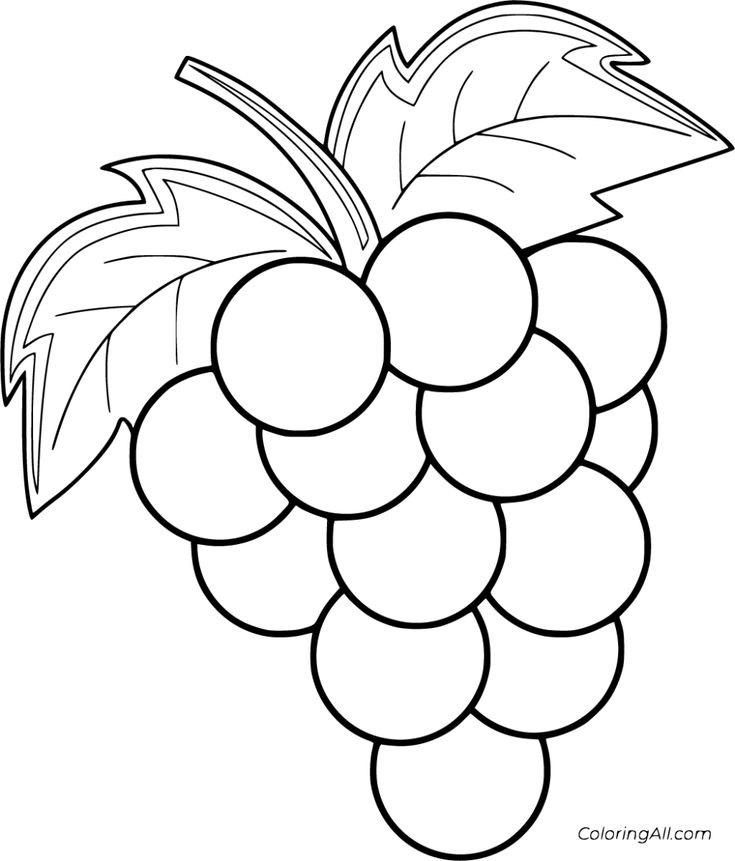 Free printable grapes coloring pages in vector format easy to print from any device and automatically fitâ fruit coloring pages coloring pages grape drawing