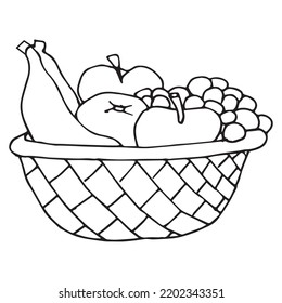 Fruit basket coloring page kids vector åºåçéåïå ççï