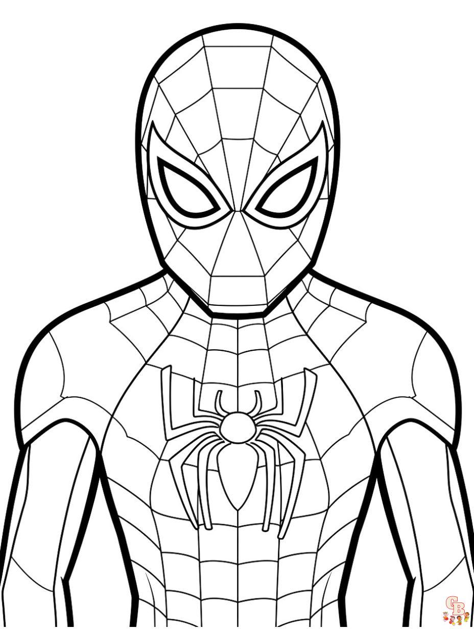 Explore our collection of printable spiderman coloring pages free