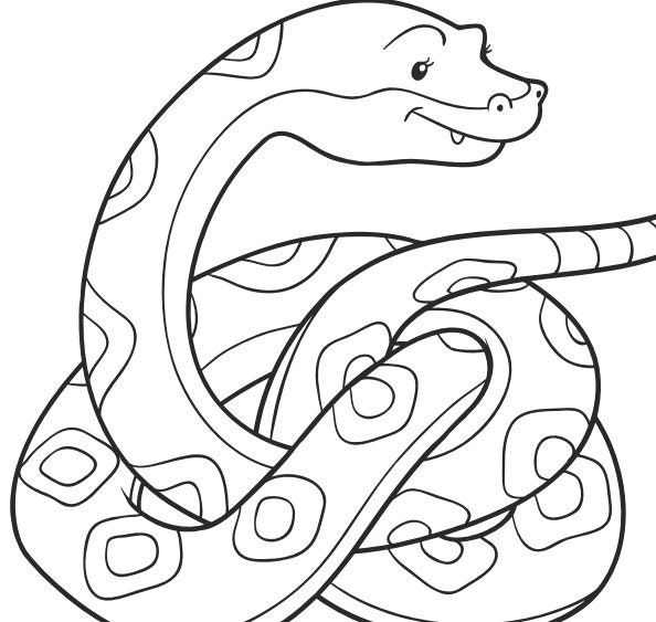 Fun snake coloring pages for kids digital download