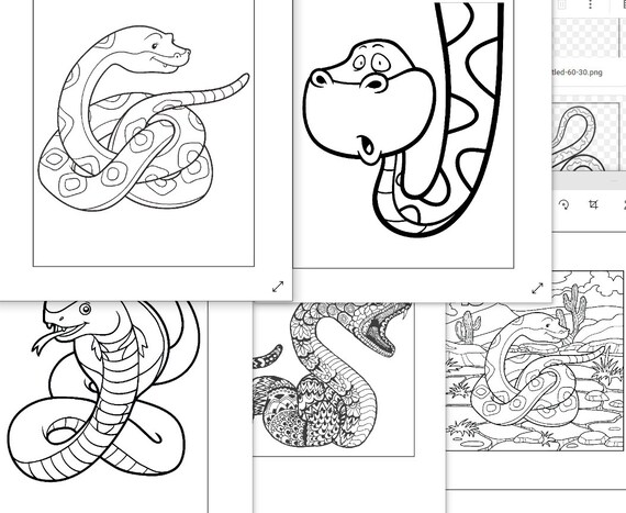 Fun snake coloring pages for kids digital download