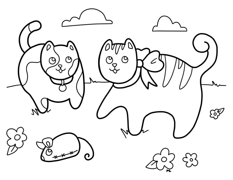 Free a cute cat coloring page