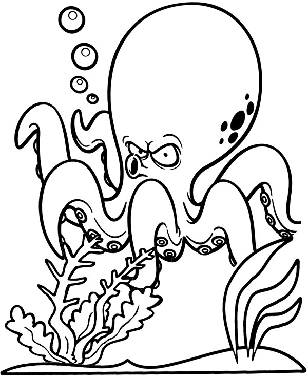 Print octopus coloring picture