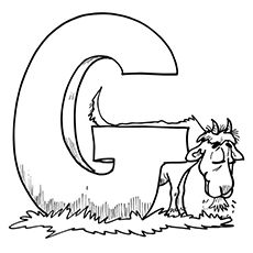 Top free printable goat coloring pages online