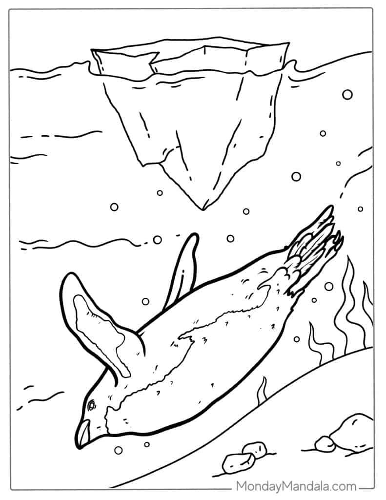 Penguin coloring pages free pdf printables