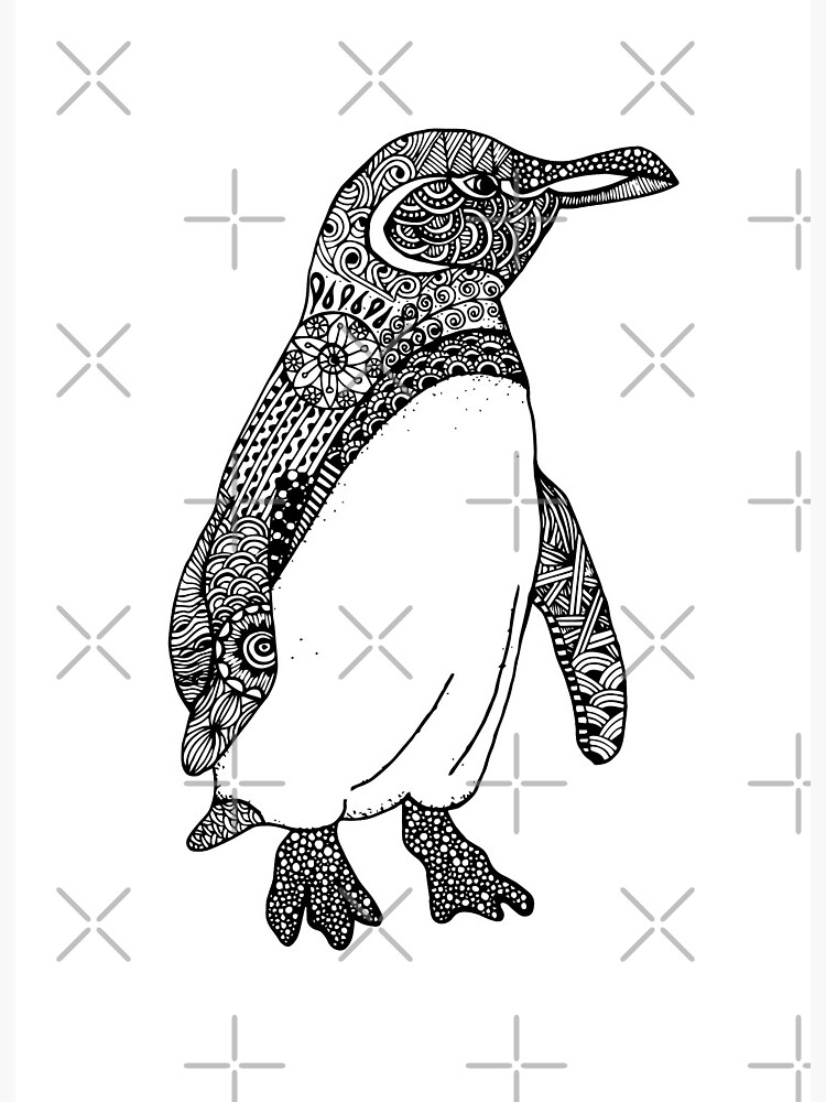 Galapagos penguin art board print for sale by ivy sanchez