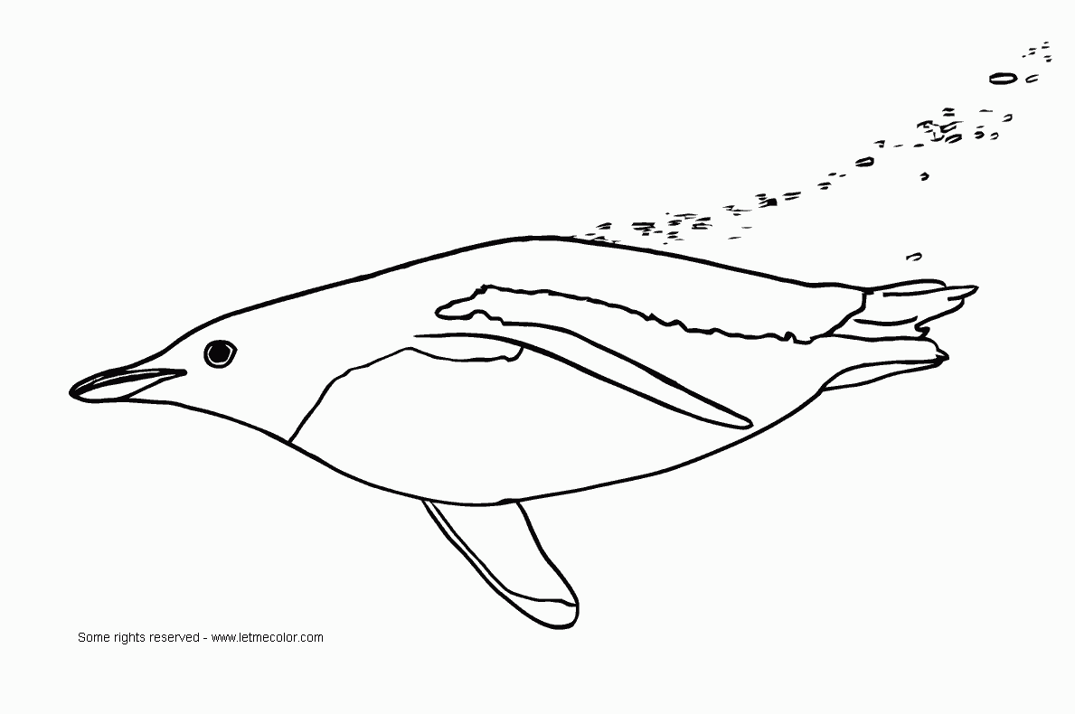 Penguin coloring page