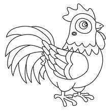 Rooster coloring pages