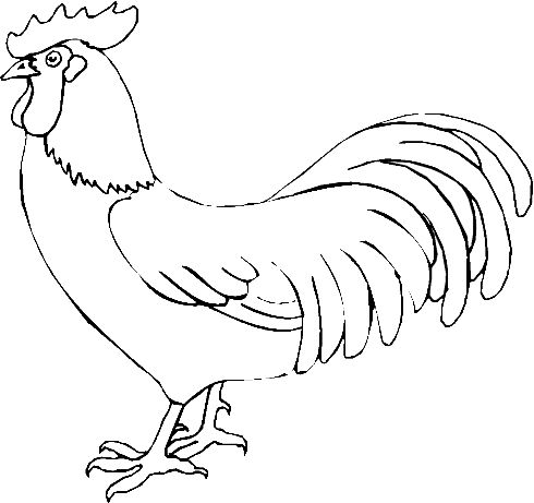 Poule ã colorier animal templates animal coloring pages rooster
