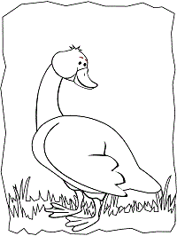 Goose coloring pages and printable activities