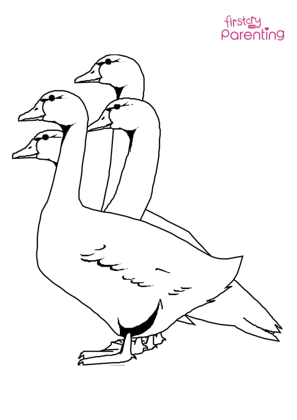 Four geese coloring page for kids