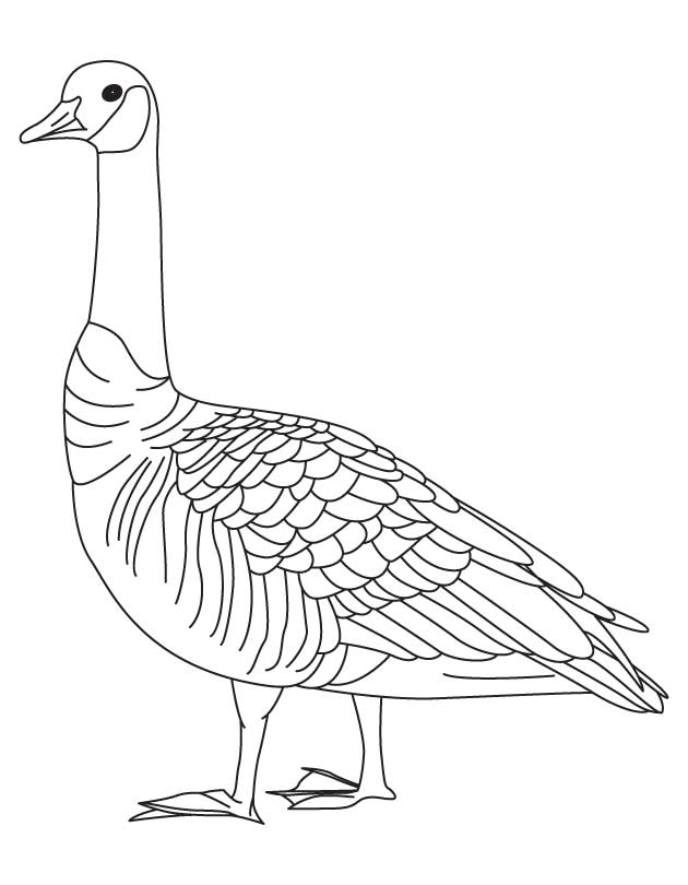 Geese coloring pages