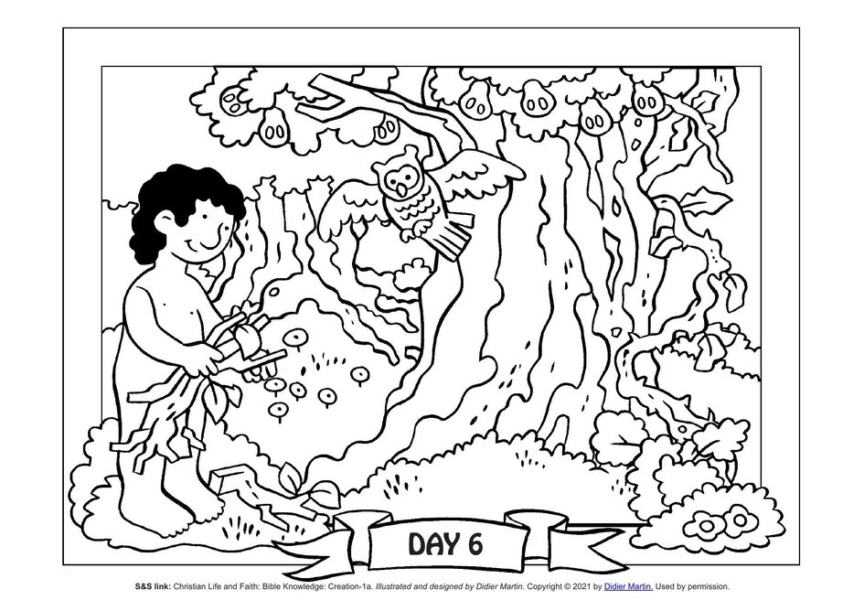 Coloring page the creation of the world the garden of eden my wonder studio