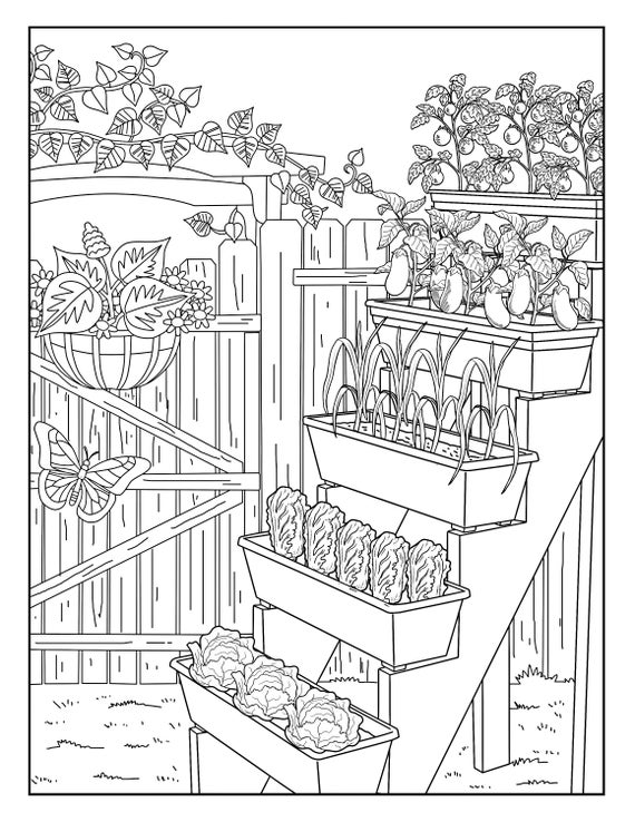 Vegetable garden garden gallery coloring pages for adults printable coloring page instant download pdf instant download