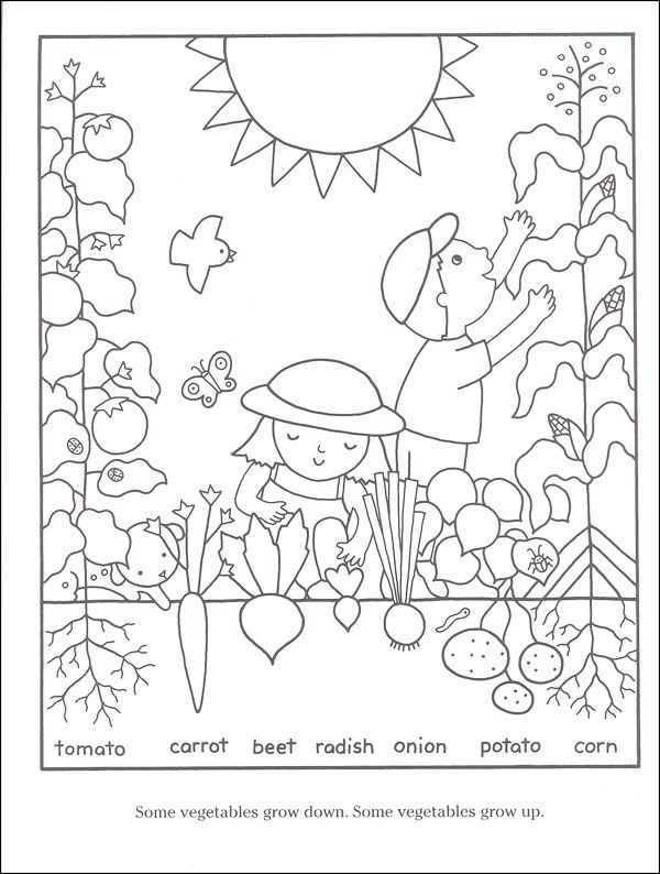 Gardening coloring pages