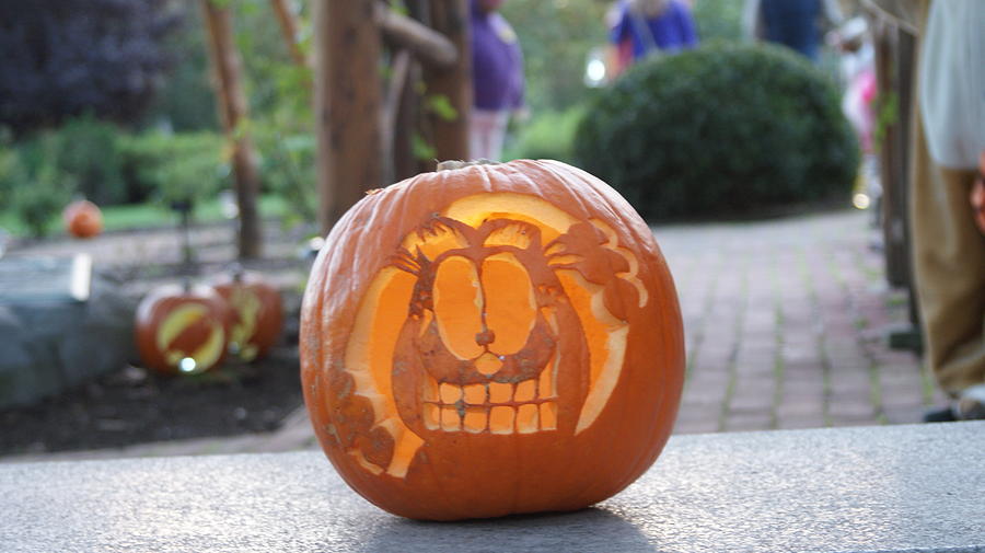 Garfield pumpkin photograph by rob luzier