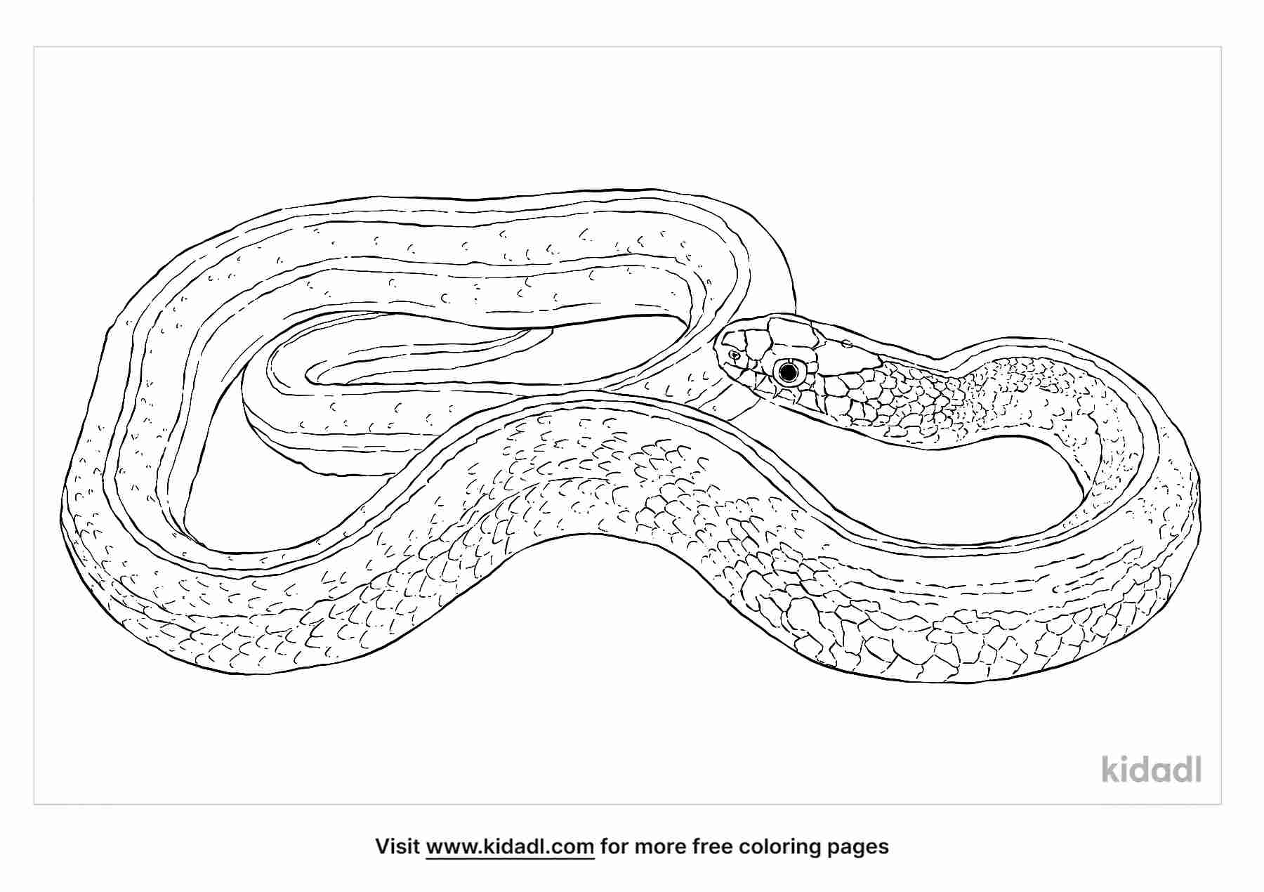 Free mon garter snake coloring page coloring page printables