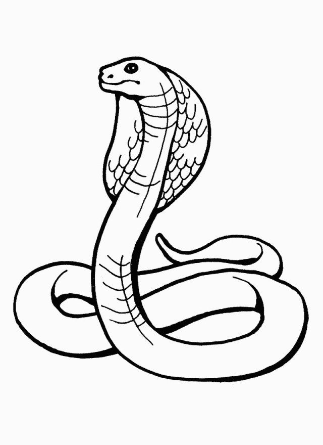 Great photo of snake coloring page