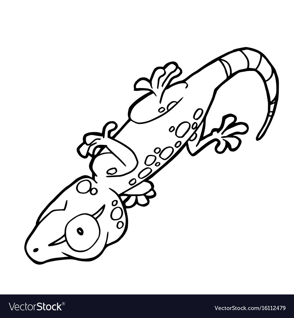 Cartoon cute gecko coloring page royalty free vector image