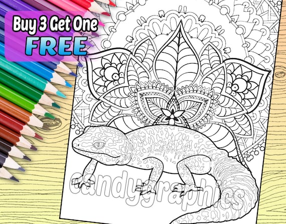 Leopard gecko adult coloring book page printable instant download