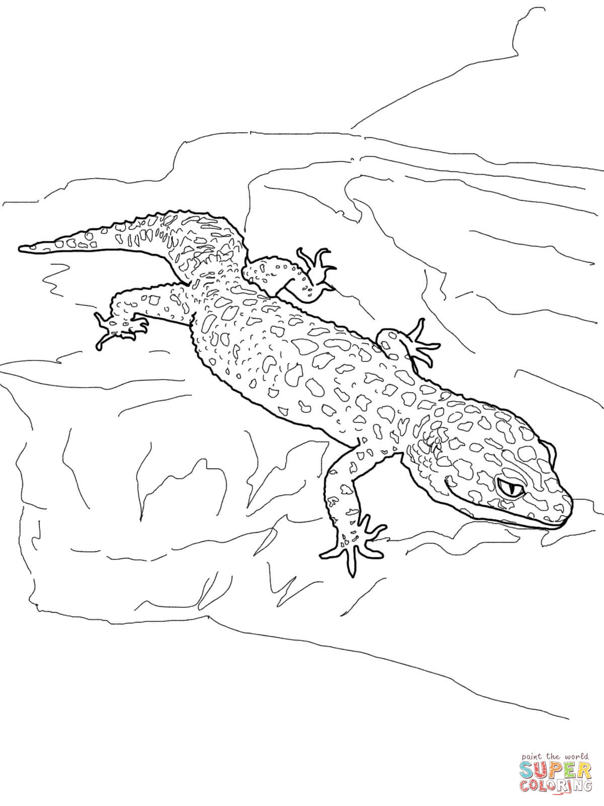 Leopard gecko coloring page free printable coloring pages