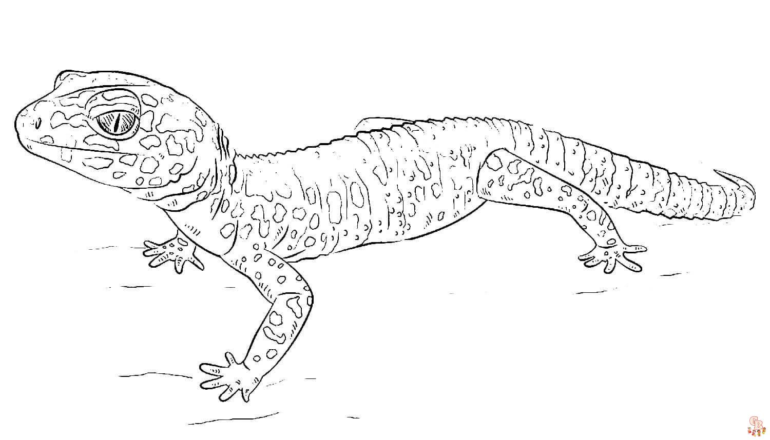 Printable gecko coloring pages free for kids and adults