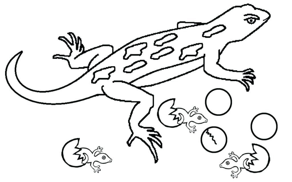 Gecko coloring pages