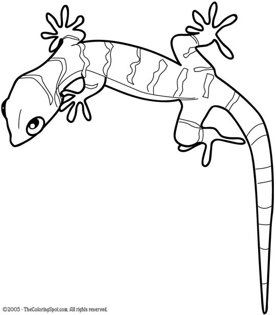 Gecko coloring page audio stories for kids free coloring pages colouring printables