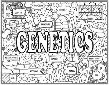 Genetics seek and find science activity genetics disorder project bundle science doodles genetics biology projects