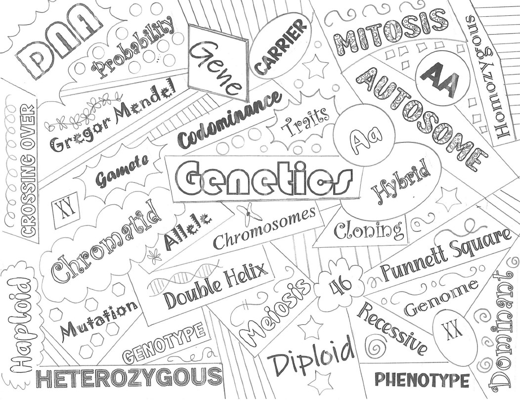 Genetics word collage vocabulary worksheet coloring heredity biology teaching resources