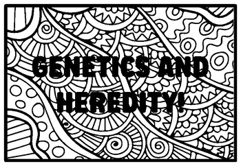 Genetics and heredity grade and science coloring pages by anisha sharma