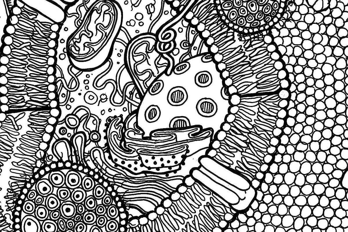 Tagc coloring pages â tagc live